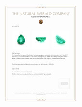 0.65 Ct. Emerald from Zambia Appraisal