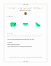 1.06 Ct. Emerald from Colombia Appraisal