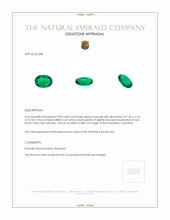 0.89 Ct. Emerald from Colombia Appraisal