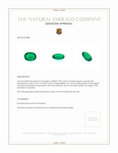 0.89 Ct. Emerald from Colombia Appraisal