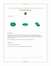 0.89 Ct. Emerald from Colombia Appraisal
