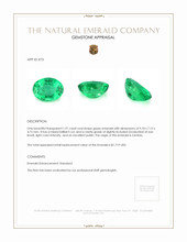 Jewelry Appraisal