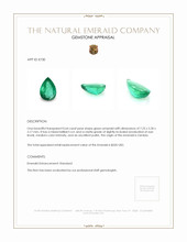 0.64 Ct. Emerald from Zambia Appraisal