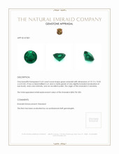 3.63 Ct. Emerald from Colombia Appraisal