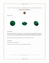 3.17 Ct. Emerald from Colombia Appraisal