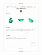 Jewelry Appraisal