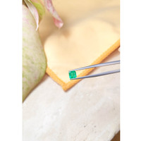 0.72 Ct. Emerald from Zambia Life Style