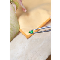 0.88 Ct. Emerald from Zambia Life Style