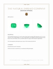 0.75 Ct. Emerald from Afghanistan Appraisal
