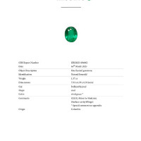 Jewelry Scan Report