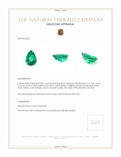 0.67 Ct. Emerald from Zambia Appraisal