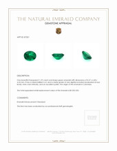 1.29 Ct. Emerald from Colombia Appraisal