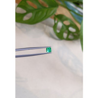 0.52 Ct. Emerald from Russia Life Style