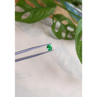 0.67 Ct. Emerald from Russia Life Style