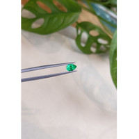 0.59 Ct. Emerald from Russia Life Style