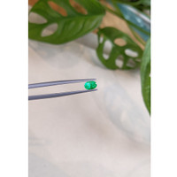 0.64 Ct. Emerald from Russia Life Style