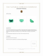 0.83 Ct. Emerald from Russia Appraisal