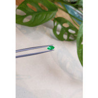 0.54 Ct. Emerald from Russia Life Style