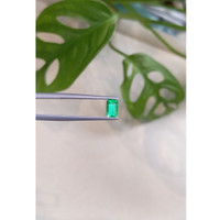 0.59 Ct. Emerald from Russia Life Style
