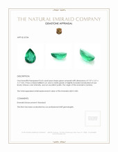 0.63 Ct. Emerald from Zambia Appraisal