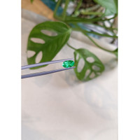 0.83 Ct. Emerald from Russia Life Style