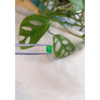 0.82 Ct. Emerald from Russia Life Style