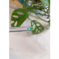 0.80 Ct. Emerald from Russia Life Style