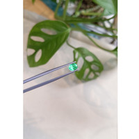 0.59 Ct. Emerald from Russia Life Style