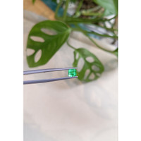 0.60 Ct. Emerald from Russia Life Style