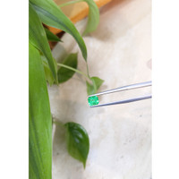 0.56 Ct. Emerald from Russia Life Style