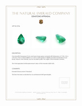 0.64 Ct. Emerald from Zambia Appraisal