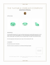 0.70 Ct. Emerald from Russia Appraisal