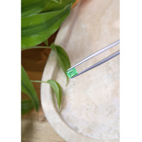 0.80 Ct. Emerald from Russia Life Style