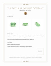 0.64 Ct. Emerald from Russia Appraisal