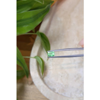 0.59 Ct. Emerald from Russia Life Style