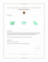 0.86 Ct. Emerald from Russia Appraisal