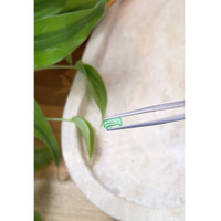 0.63 Ct. Emerald from Russia Life Style