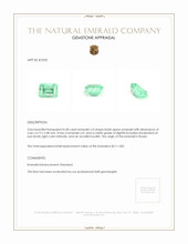 0.58 Ct. Emerald from Russia Appraisal