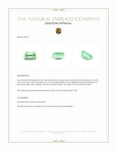 0.64 Ct. Emerald from Russia Appraisal