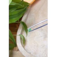 0.54 Ct. Emerald from Russia Life Style