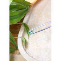 0.74 Ct. Emerald from Russia Life Style