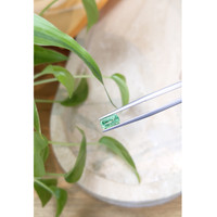 0.91 Ct. Emerald from Russia Life Style