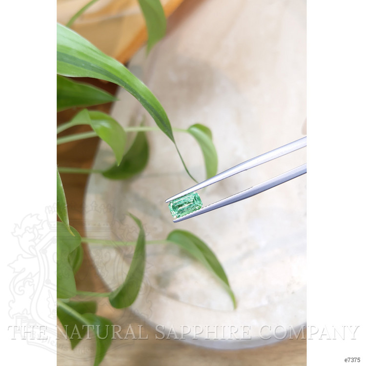 0.91 Ct. Emerald from Russia