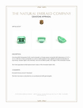 0.82 Ct. Emerald from Russia Appraisal