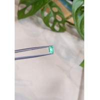 0.60 Ct. Emerald from Russia Life Style