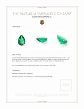 0.66 Ct. Emerald from Zambia Appraisal