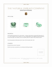 0.69 Ct. Emerald from Russia Appraisal