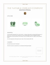 0.56 Ct. Emerald from Russia Appraisal
