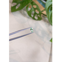 0.56 Ct. Emerald from Russia Life Style