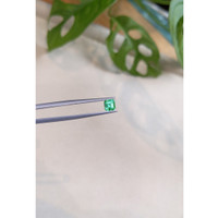 0.85 Ct. Emerald from Russia Life Style